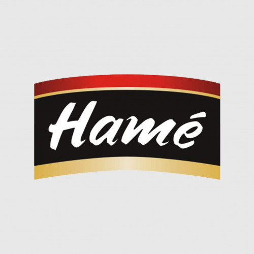 Logo Hamé